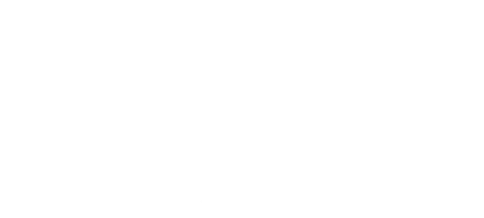 MSP Film Festival